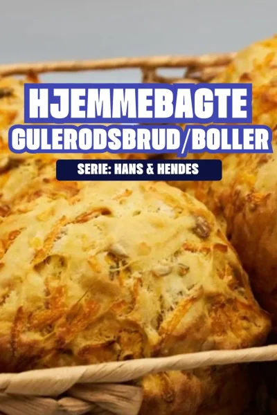 Billede 28.11.2024, 16.48.31